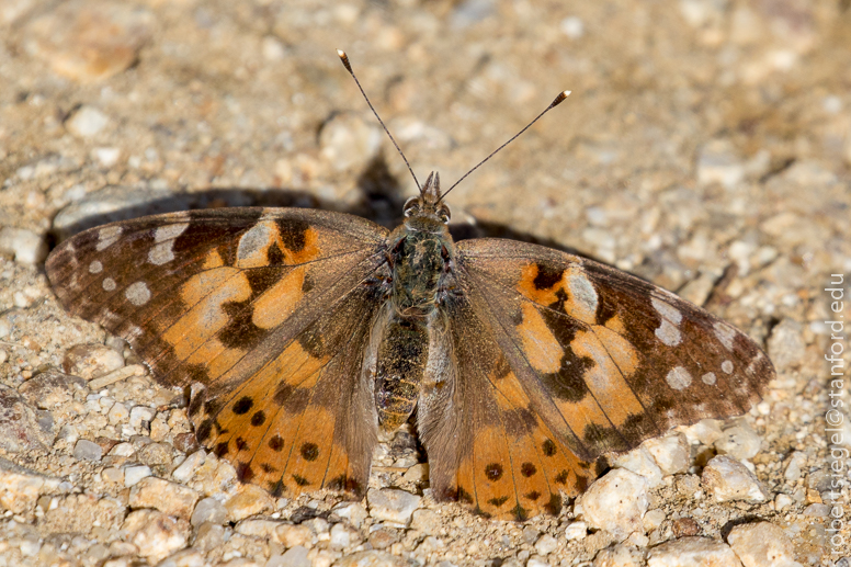 class at bight beach